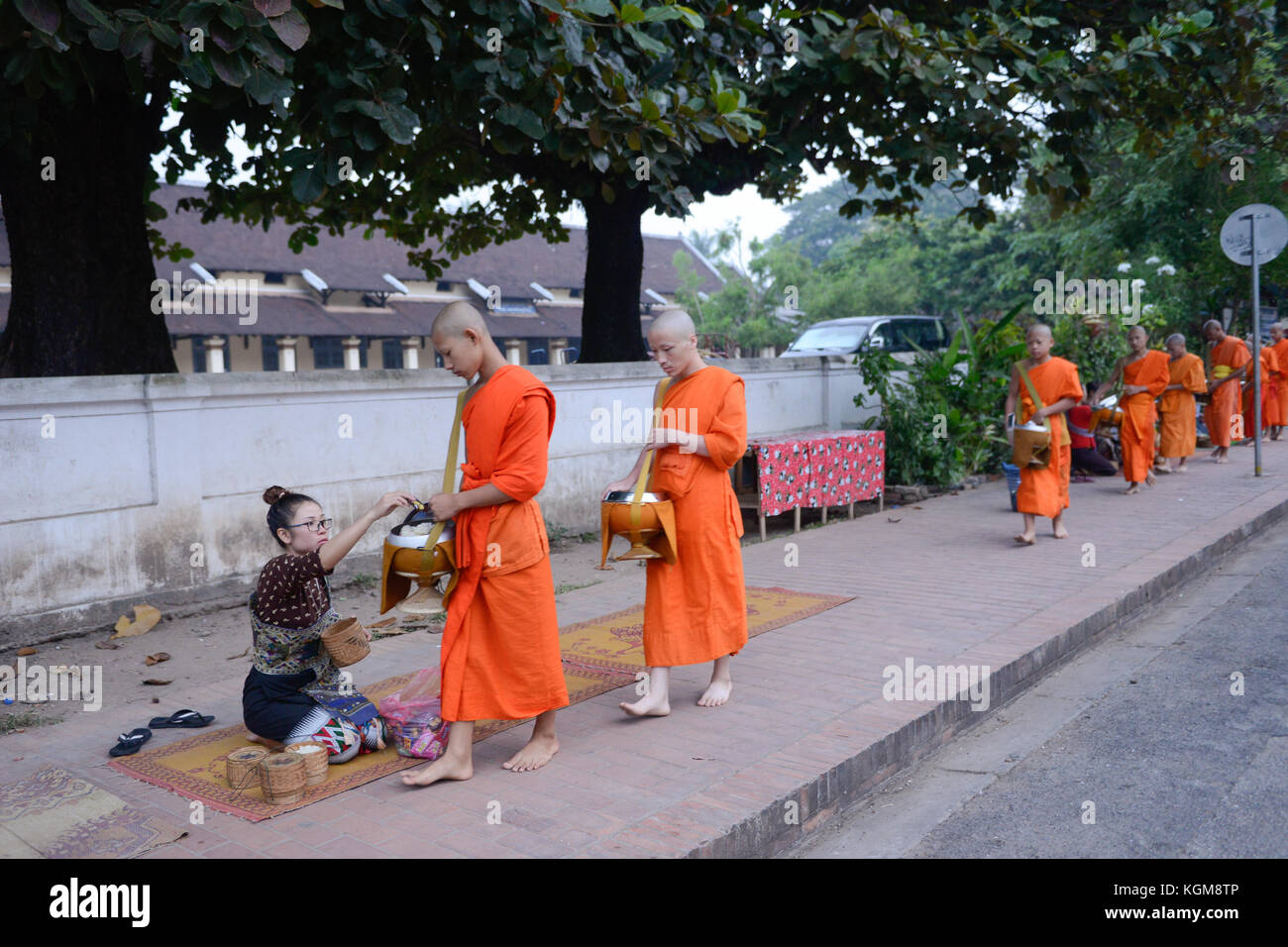 Die Mönche gehen auf Almosen Runde entlang der Strasse am Morgen von Luang Prabang, Laos. Stockfoto