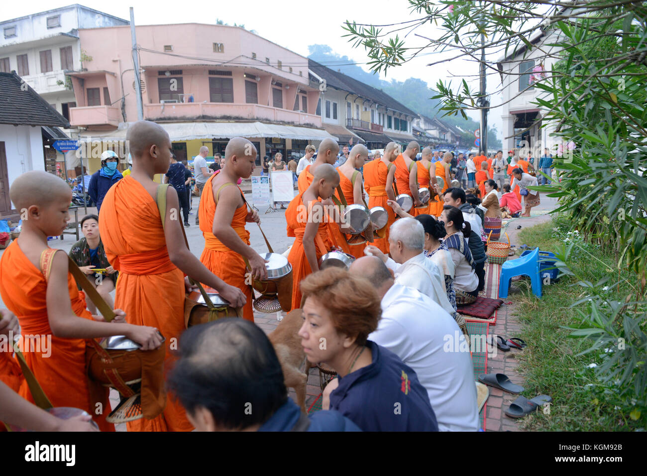 Die Mönche gehen auf Almosen Runde entlang der Strasse am Morgen von Luang Prabang, Laos. Stockfoto