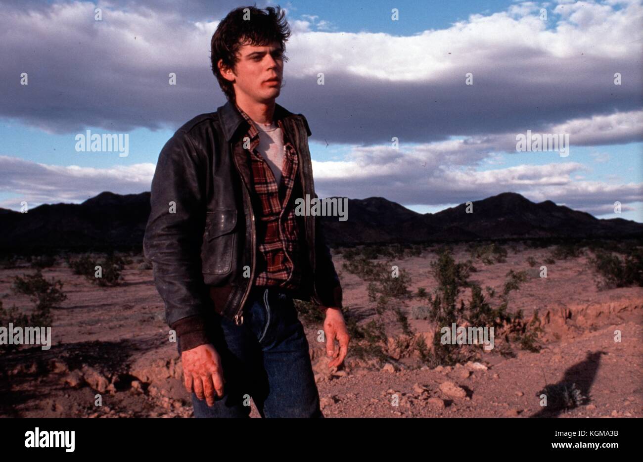 Die hitcher (1986), C Thomas Howell Datum: 1986 Stockfoto