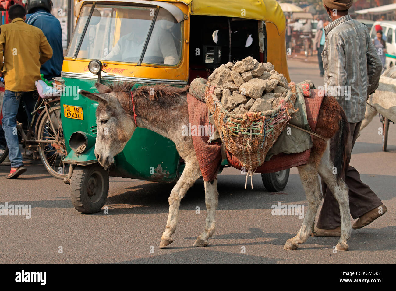 Delhi, Indien - 20. November 2015: Inder und sein Esel Transport von Bauschutt in der gedrängten Straße von Deli Stockfoto