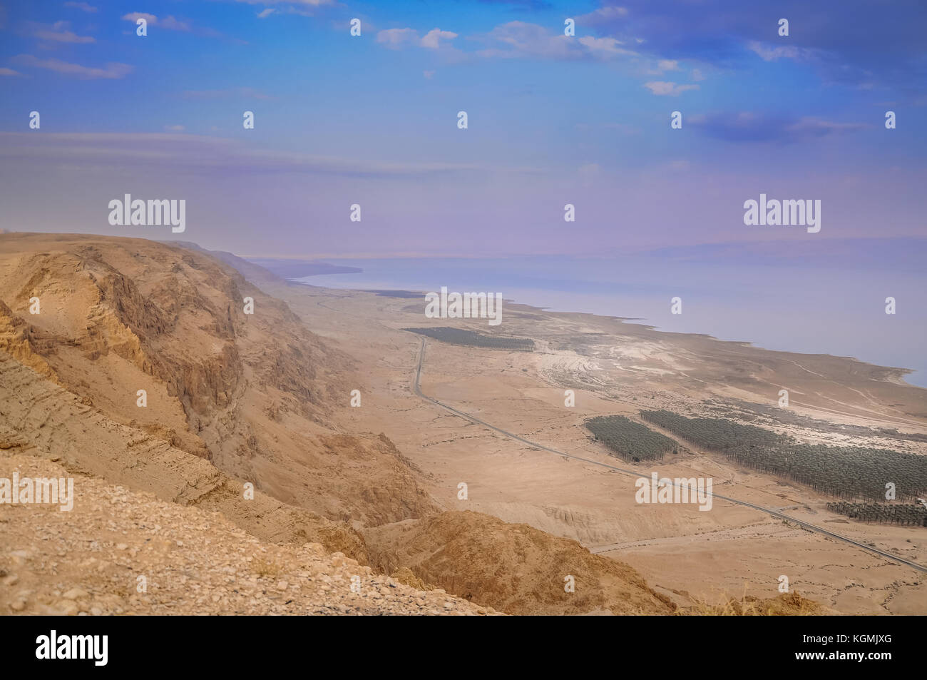 Toten Meer mit Palmen und Berge, Israel Stockfoto