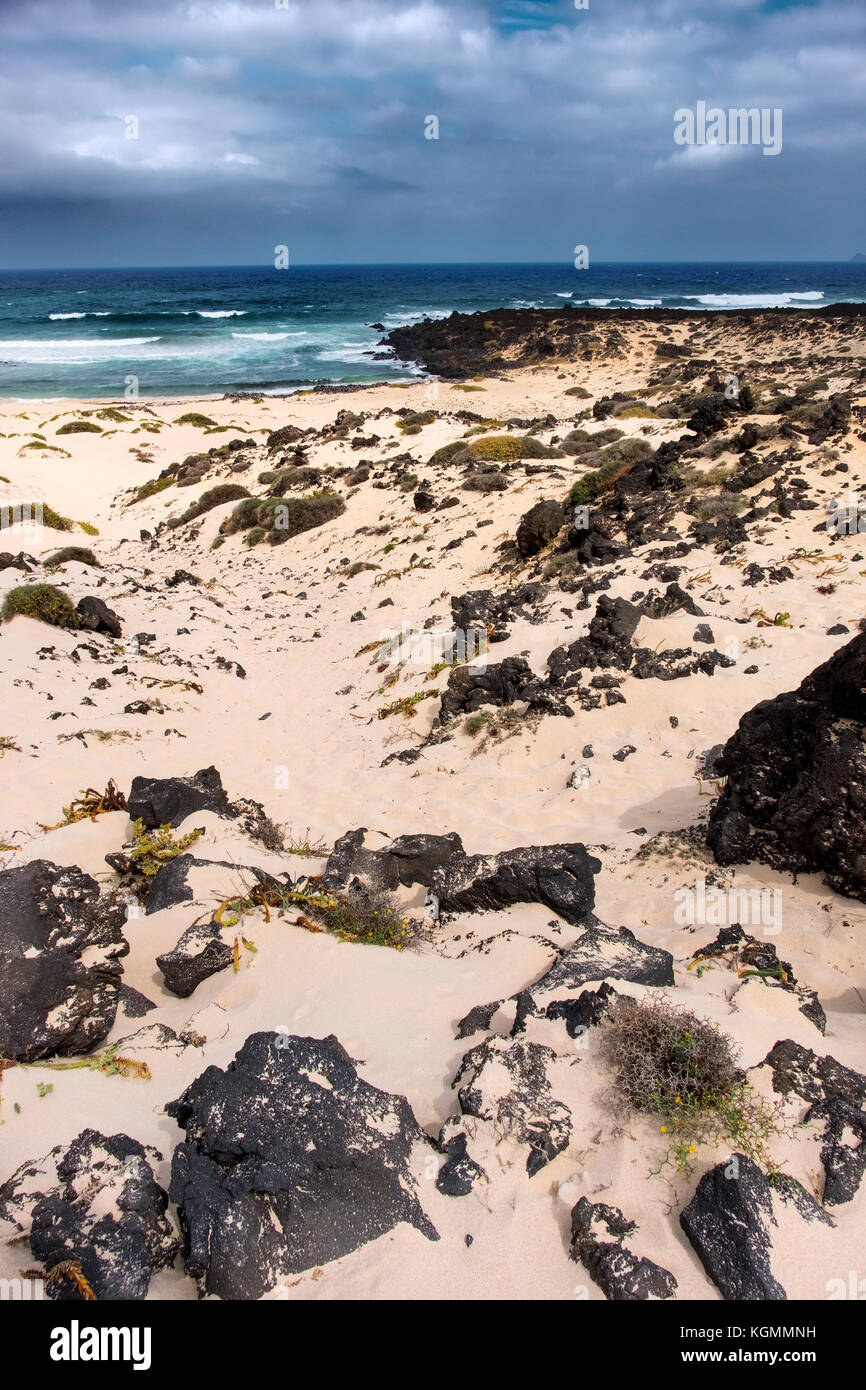 Strand Malpais de la Corona. Caleta del Mojón Blanco. Dünen, weißer Sandstrand, Orzola. Lanzarote Island. Kanarische Inseln Spanien. Europa Stockfoto