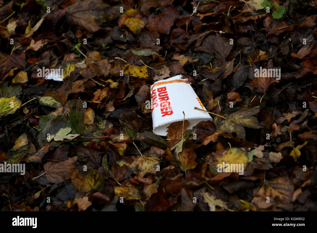 Leere Kaffeetassen abgebildet Littering in den Straßen und am Straßenrand in Großbritannien. Stockfoto