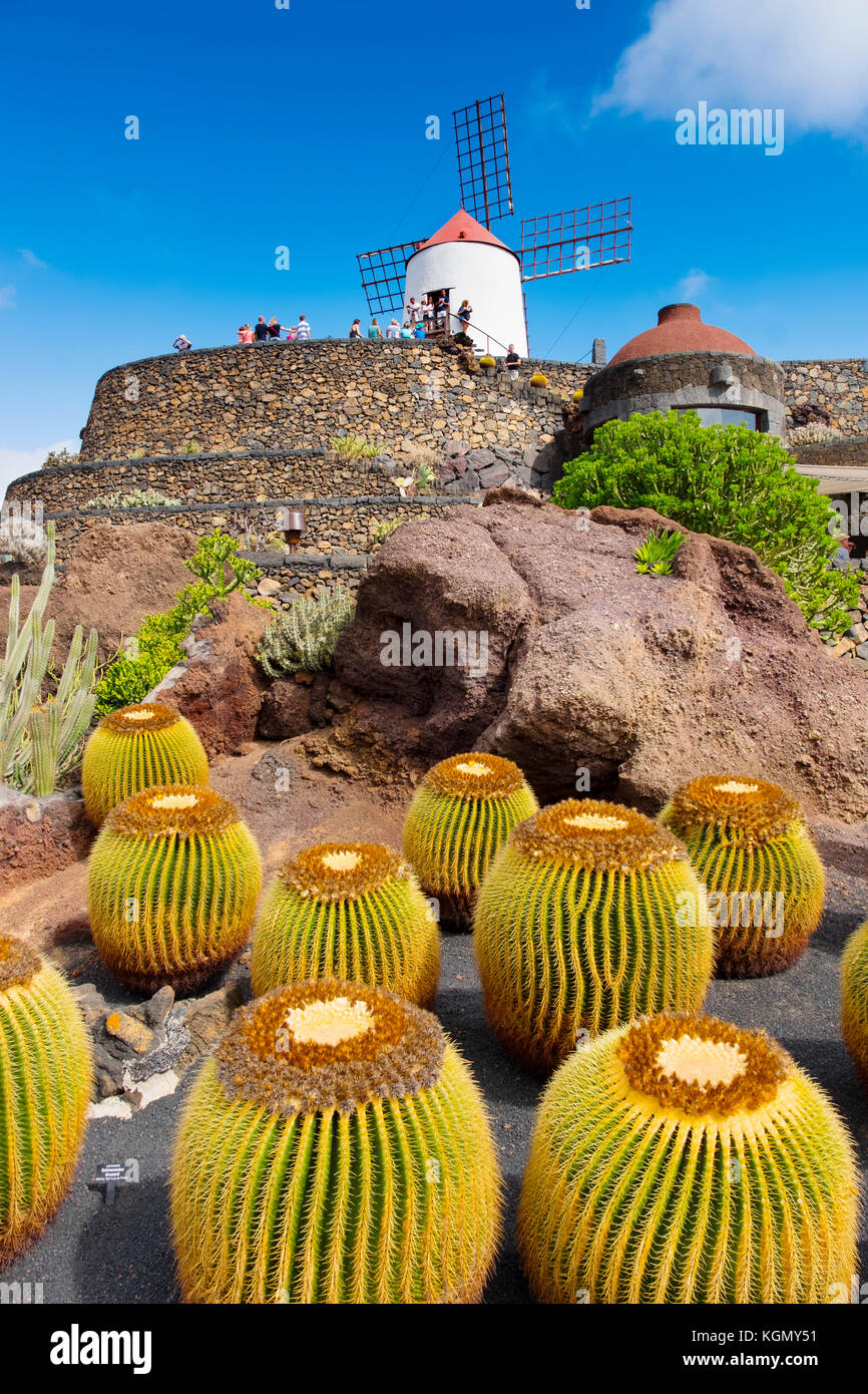 Jardin de Cactus. Cactus Garden von Cesar Manrique, Risco de las Nieves Range, Guatiza. Lanzarote Island. Kanarische Inseln Spanien. Europa Stockfoto