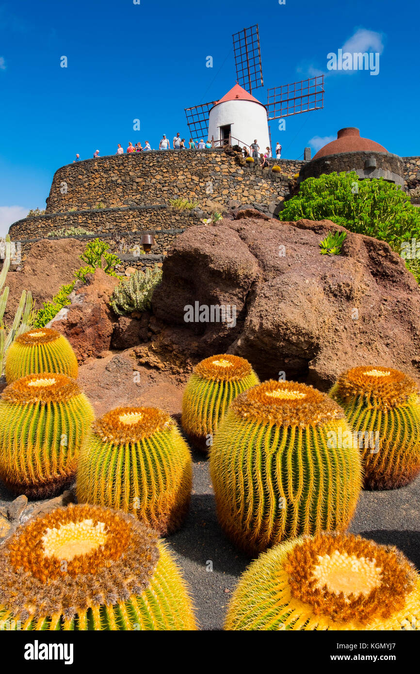 Jardin de Cactus. Cactus Garden von Cesar Manrique, Risco de las Nieves Range, Guatiza. Lanzarote Island. Kanarische Inseln Spanien. Europa Stockfoto