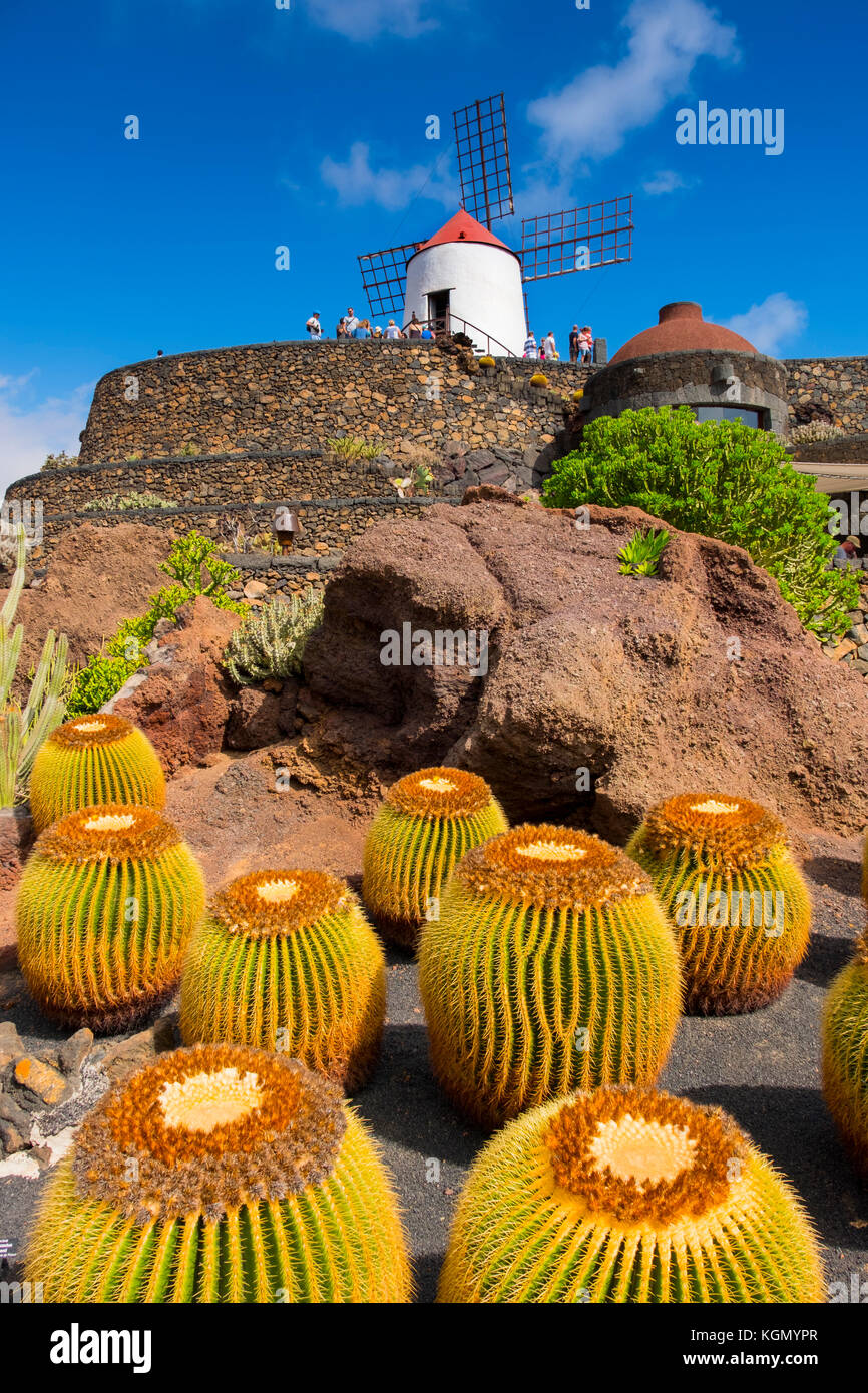 Jardin de Cactus. Cactus Garden von Cesar Manrique, Risco de las Nieves Range, Guatiza. Lanzarote Island. Kanarische Inseln Spanien. Europa Stockfoto