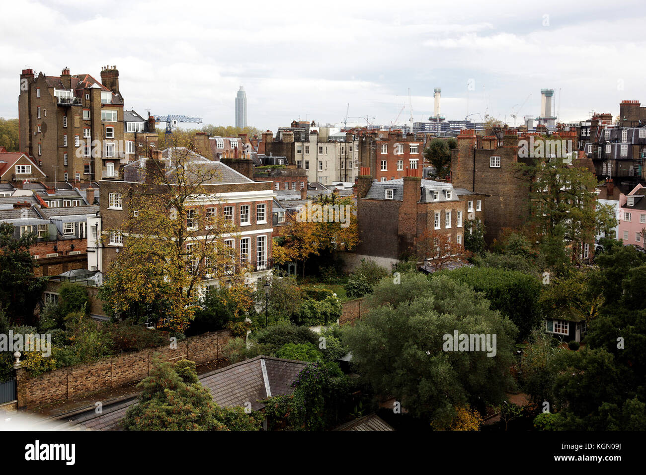 Chelsea Physic Garden, Garten der Apotheker" in London, England, Großbritannien Stockfoto