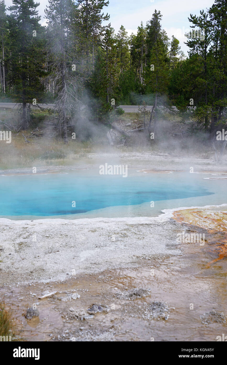 Ansicht der Geysire im Yellowstone National Park, Montana Stockfoto