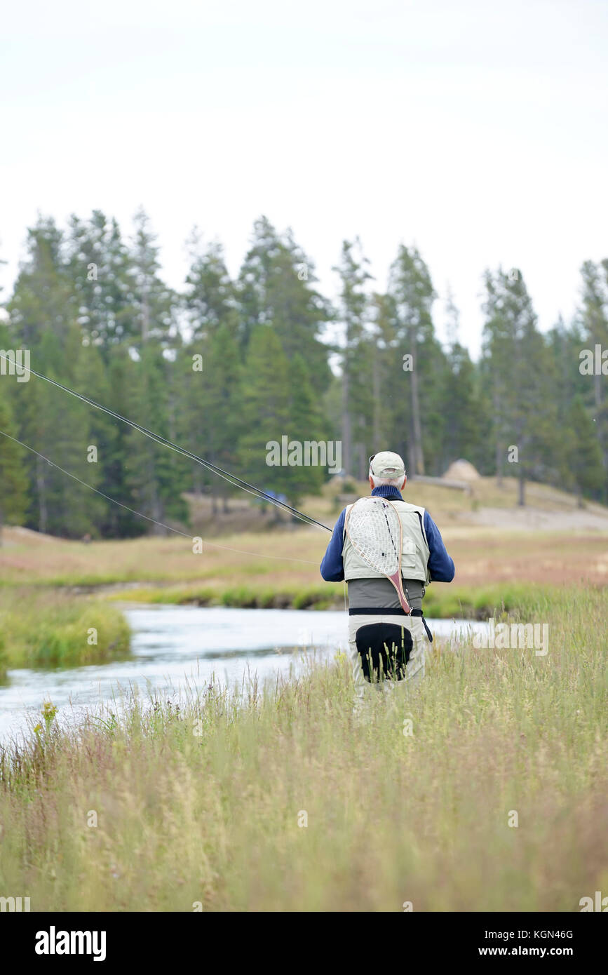 Fliege - Fischer fischen im gallatin River, Montana Stockfoto