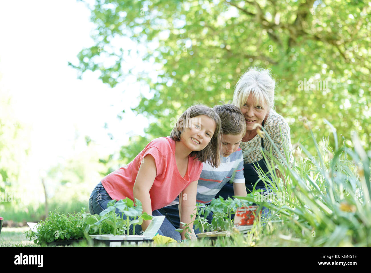 Ältere Frau Spaß im Garten mit den Enkelkindern Stockfotografie - Alamy.