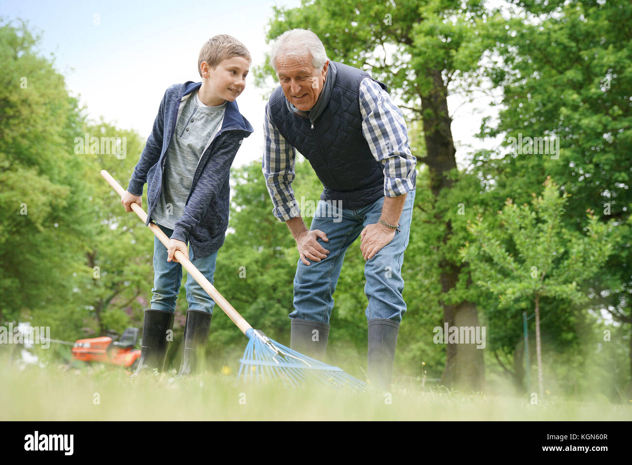 Großvater mit grandkid Reinigung Garten mit Rechen Stockfoto