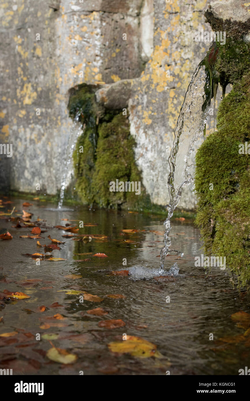 Severn Brunnen im Herbst im Dorf von Bisley, Cotswolds, Gloucestershire, England Stockfoto