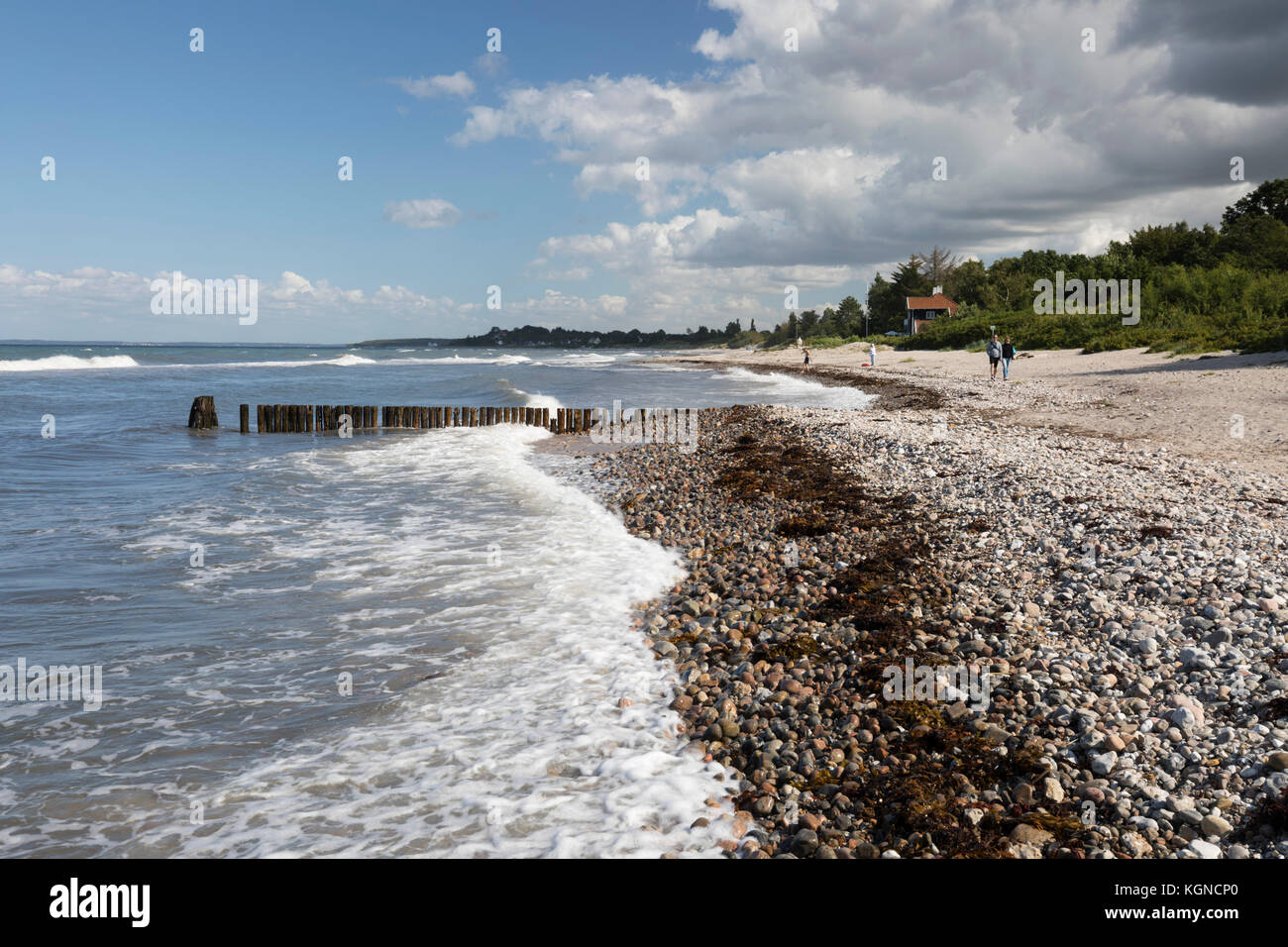 Blick über munkerup Strand, Munkerup, Kattegat Coast, Neuseeland, Dänemark, Europa Stockfoto