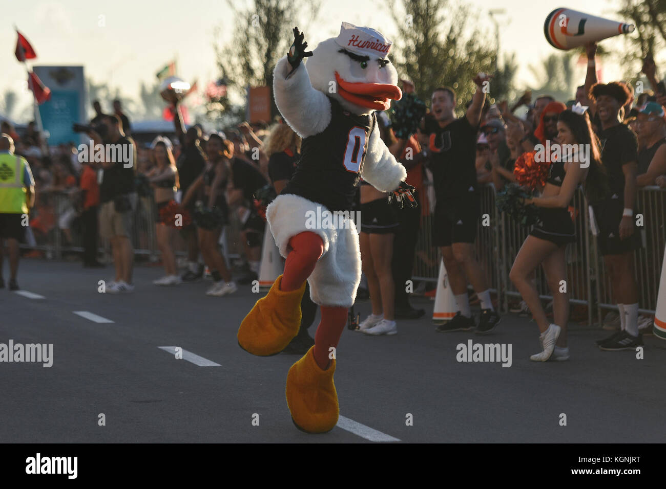 November 9, 2017 - Miami Gardens, Florida, USA - Sebastian das Ibis hypes die Volksmenge während des Hurrikans vor Virginia Tech. (Bild: © HANDOUT/der Palm Beach Post über ZUMA Draht) Stockfoto