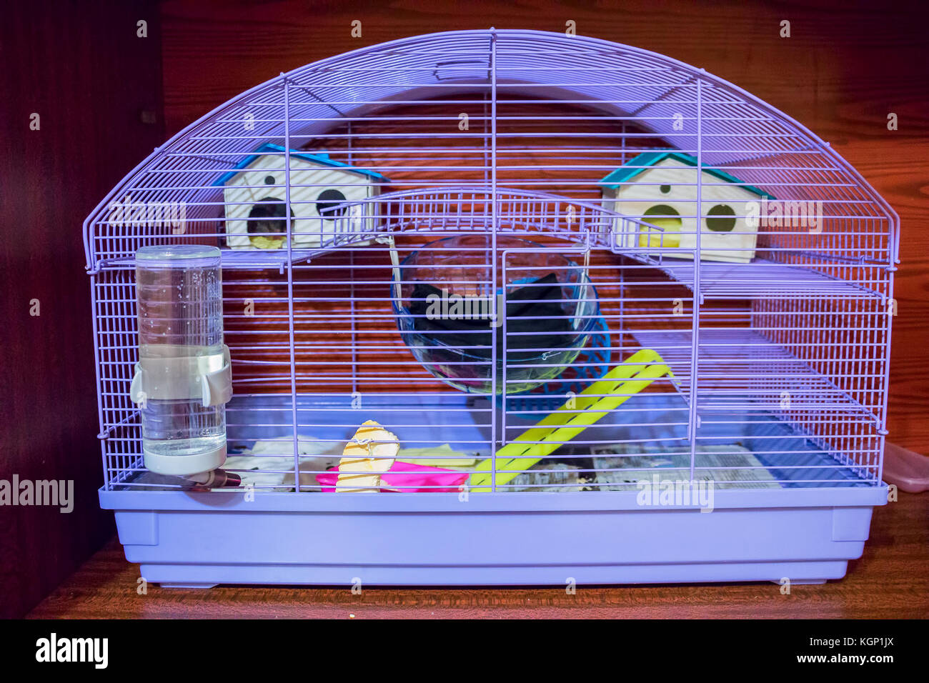Käfig für kleine Haustiere Stockfotografie - Alamy