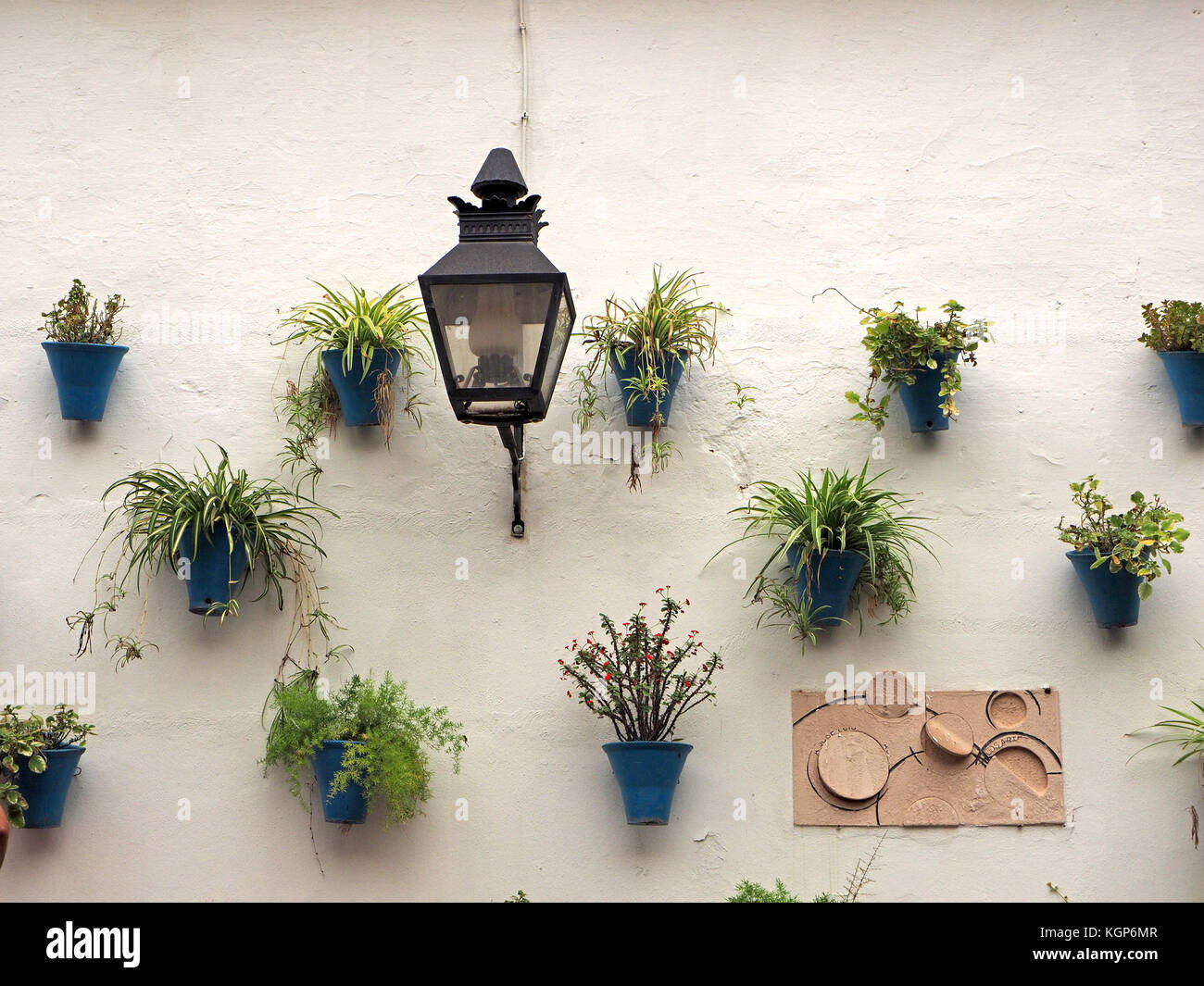 Black Metal Halterung Laterne durch Grünpflanzen in blauen Pflanzen- Töpfe  zu einem gestrichenen Wand in Córdoba, Spanien angehängt umgeben  Stockfotografie - Alamy
