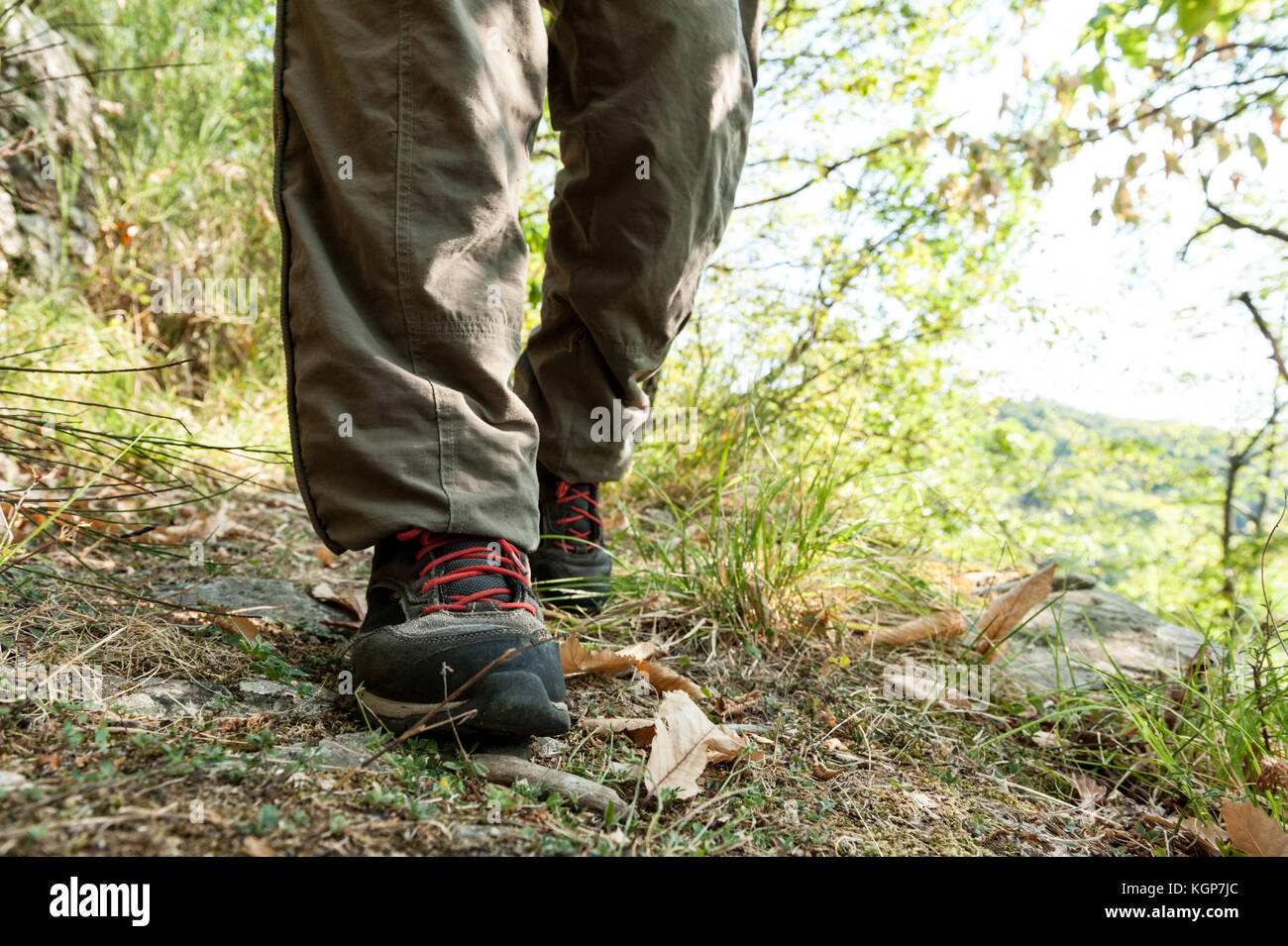 Wanderschuhe mit Red Laces und Beine tragen lange braune Hose von einem Wanderer zu Fuß auf einem Pfad in den Wald Stockfoto