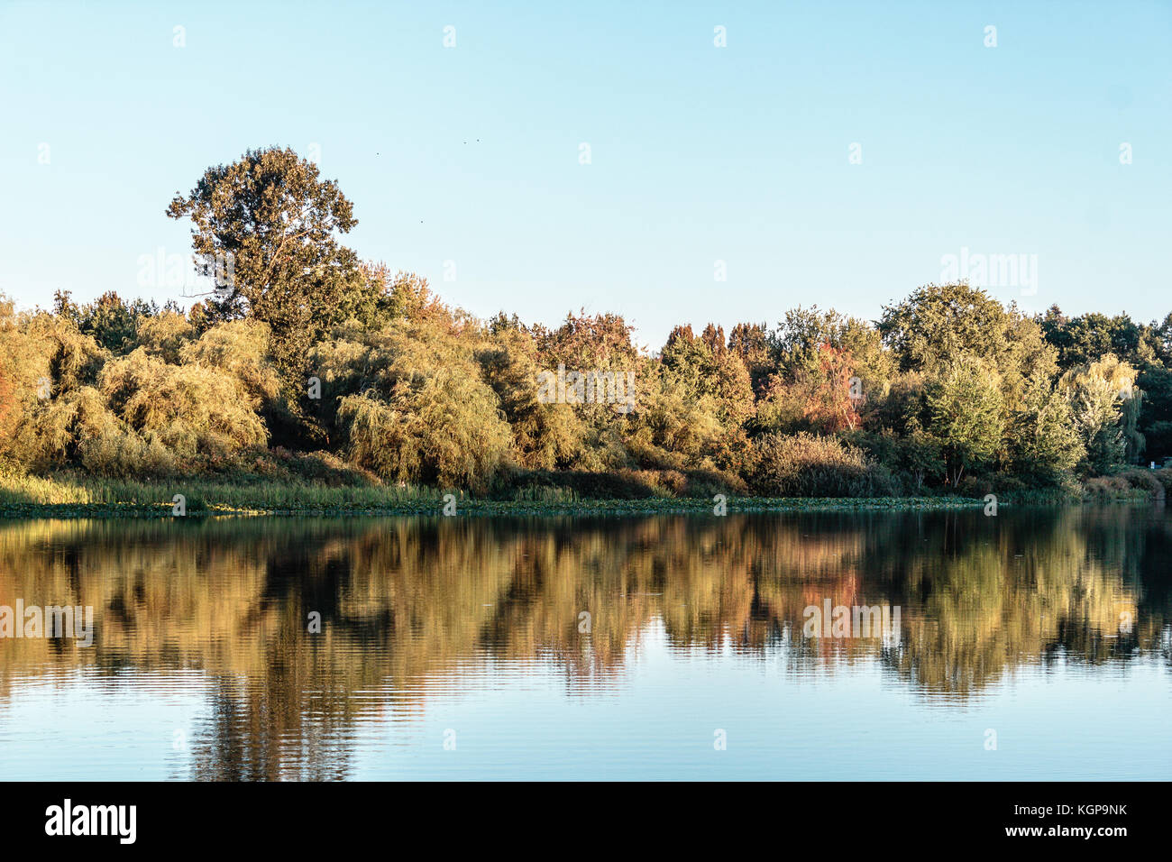 Foto von Trout Lake Park in Vancouver, Kanada Stockfoto