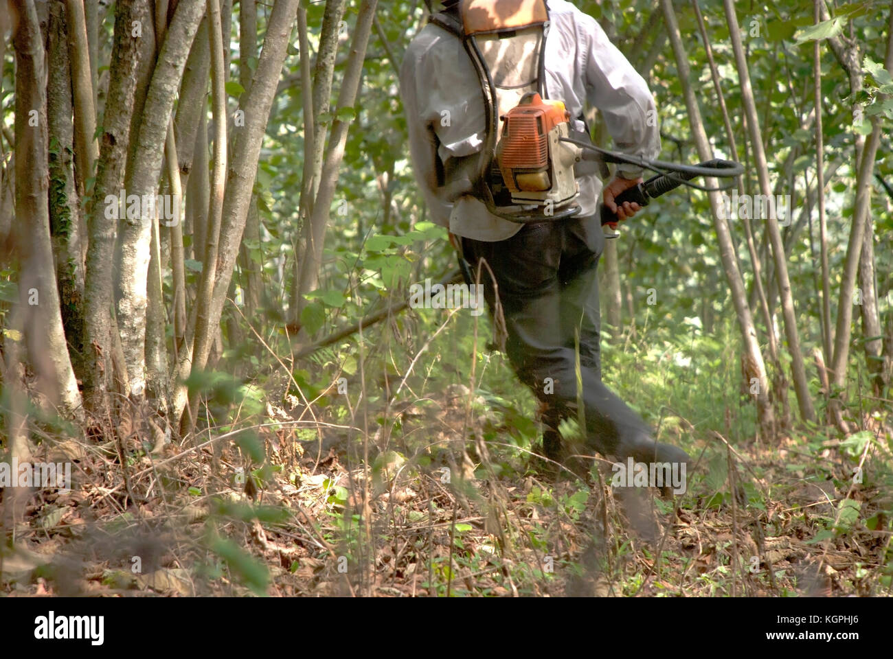 Gras mähen. Bauer Garten mähen und Reinigung. Stockfoto