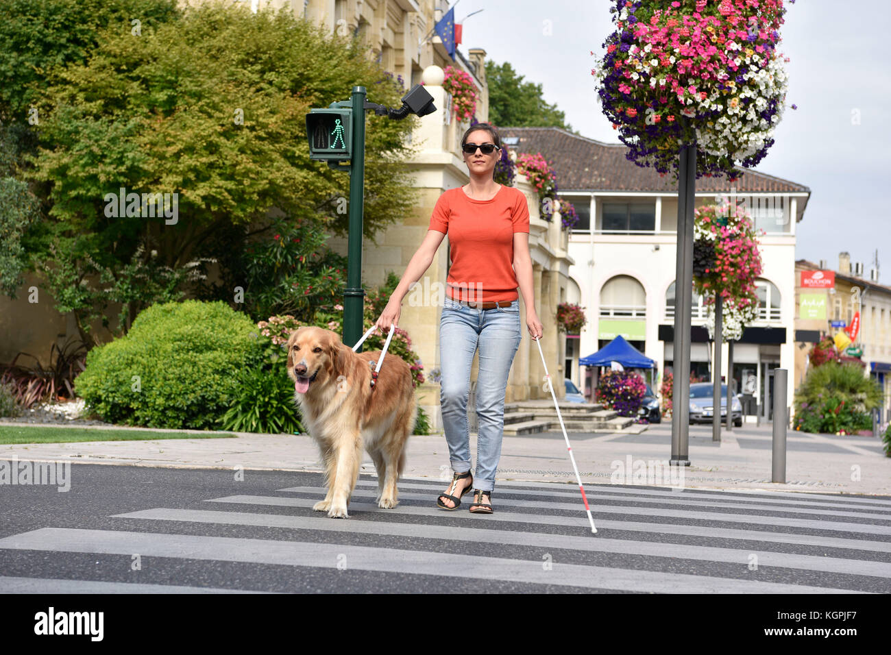 Blinde Frau Überqueren der Straße mit Hilfe von Guide dog Stockfoto
