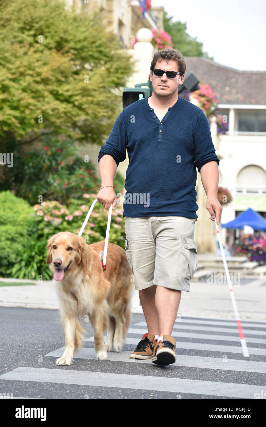 Blinden über die Straße mit Hilfe von Guide dog Stockfoto