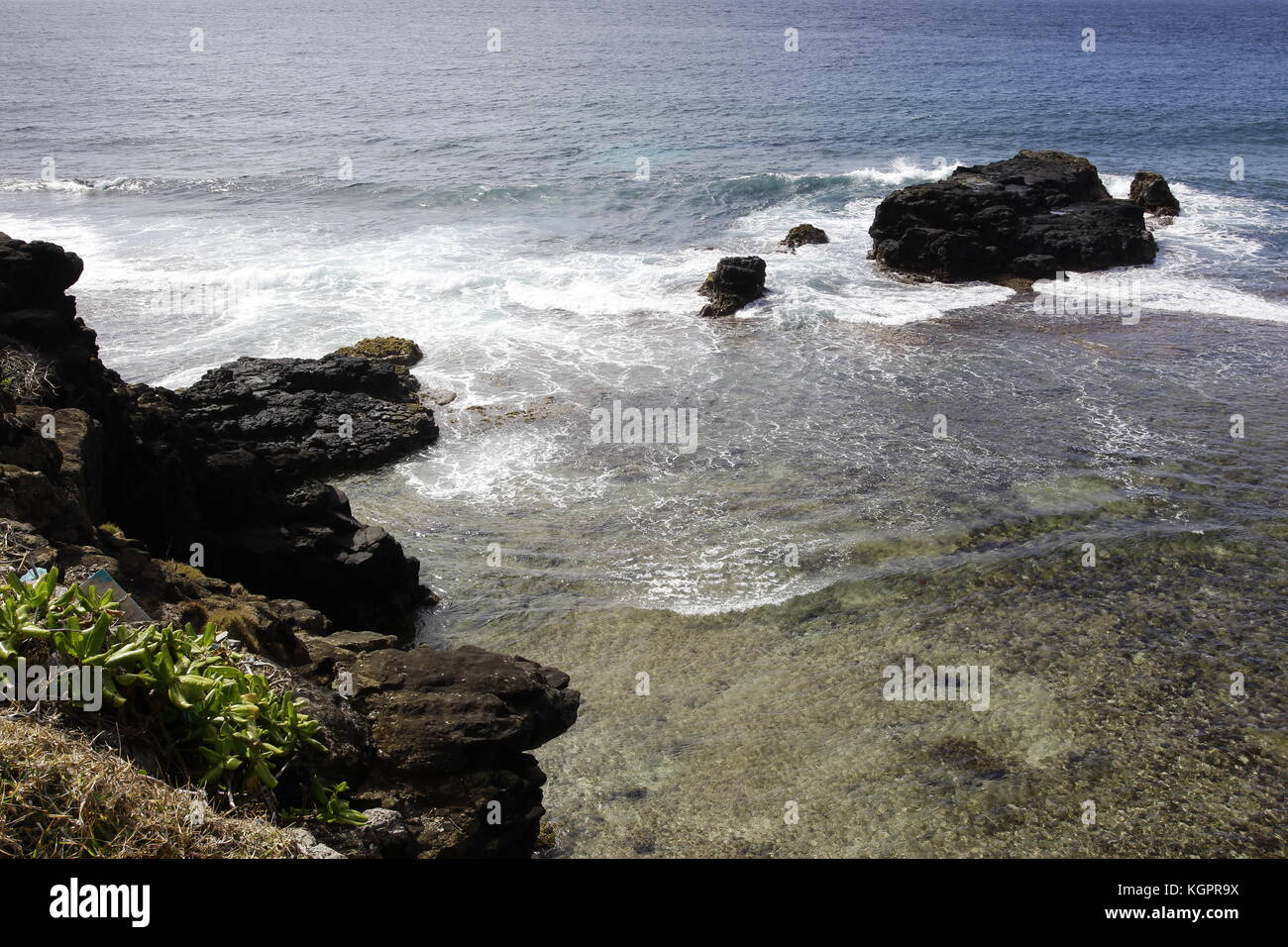 Gris Gris liegt in der IT-Landschaft Stockfoto