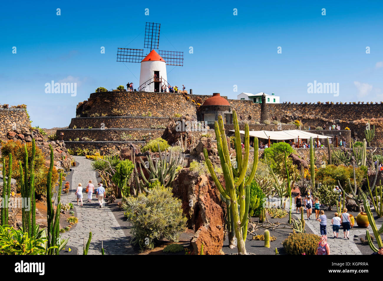 Jardin de Cactus. Cactus Garden von Cesar Manrique, Risco de las Nieves Range, Guatiza. Lanzarote Island. Kanarische Inseln Spanien. Europa Stockfoto