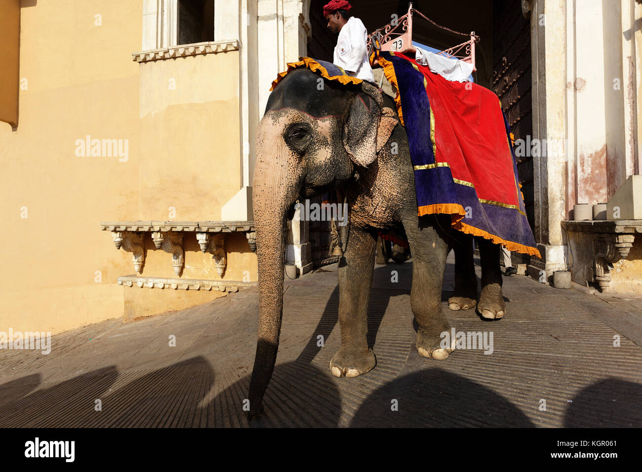 Reiten Elefanten bei Amer Fort, Jaipur, Rajasthan, Indien. Stockfoto