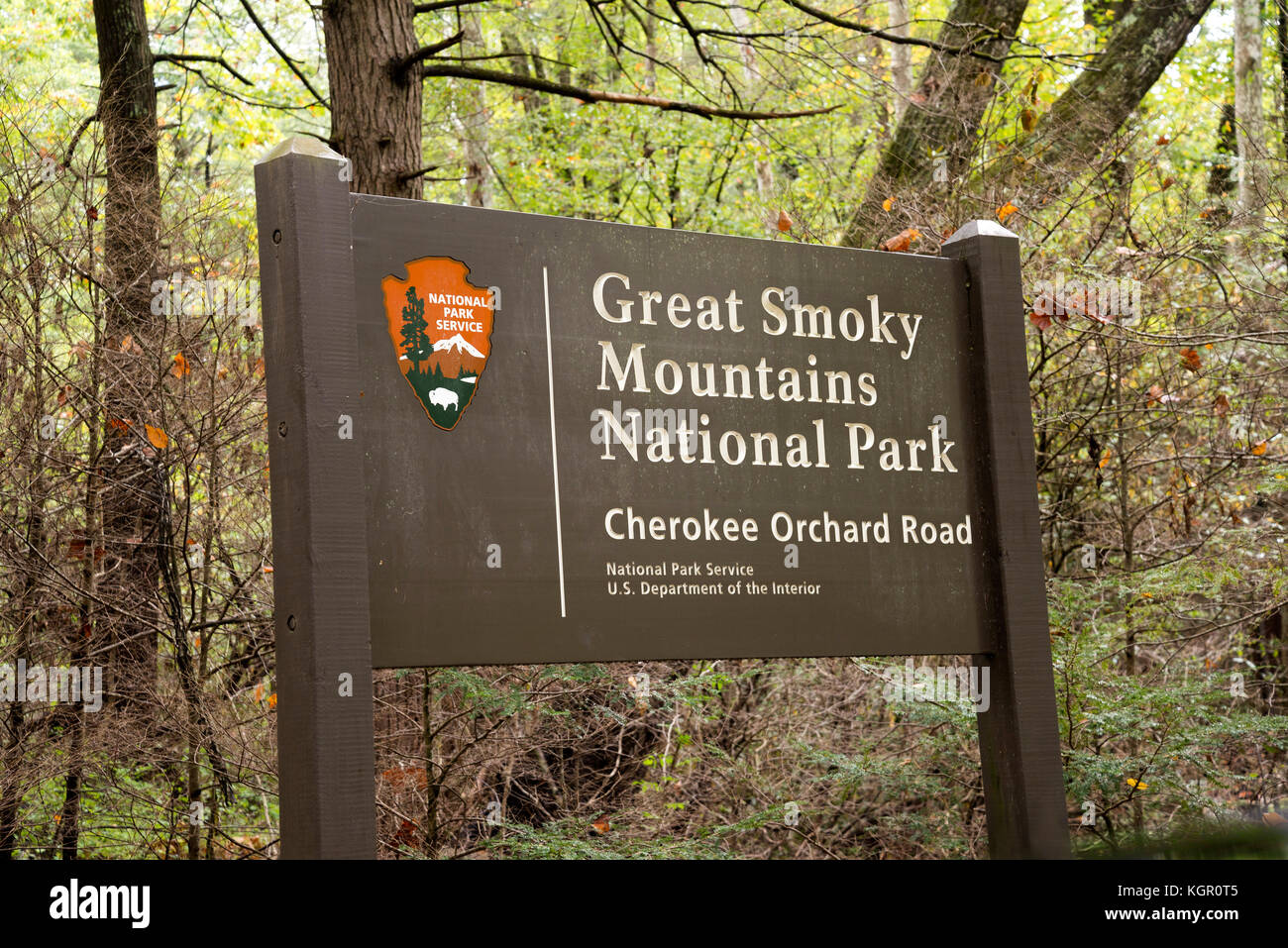 Herbstfarben im Great Smoky Mountain National Park. Stockfoto