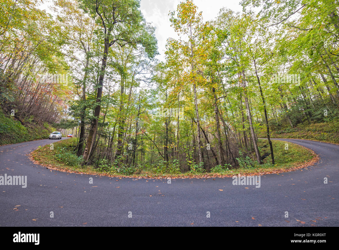 Herbstfarbe im Great Smoky Mountains National Park. Stockfoto