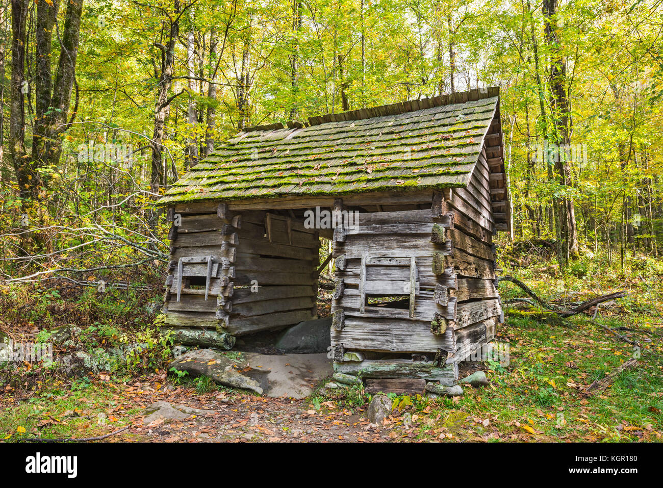 Herbstfarbe im Great Smoky Mountains National Park. Stockfoto