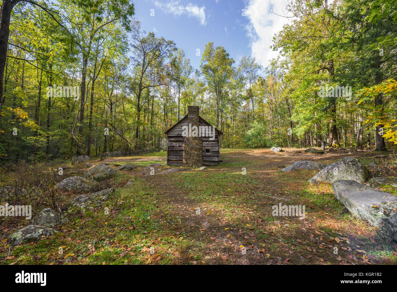 Herbstfarbe im Great Smoky Mountains National Park. Stockfoto