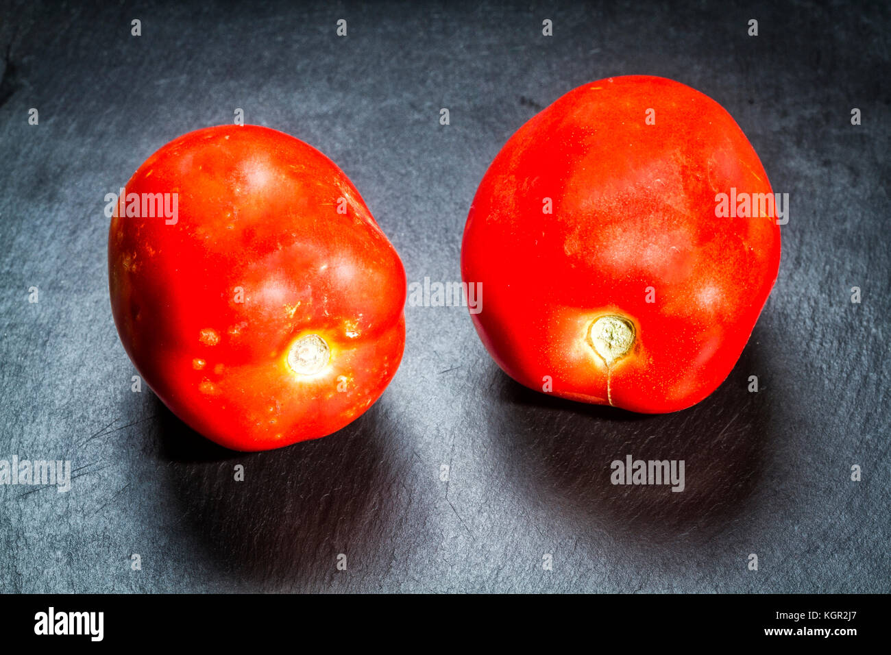 Reife Tomaten (Solanum Lycopersicum) auf schwarzem Schiefer. Stockfoto
