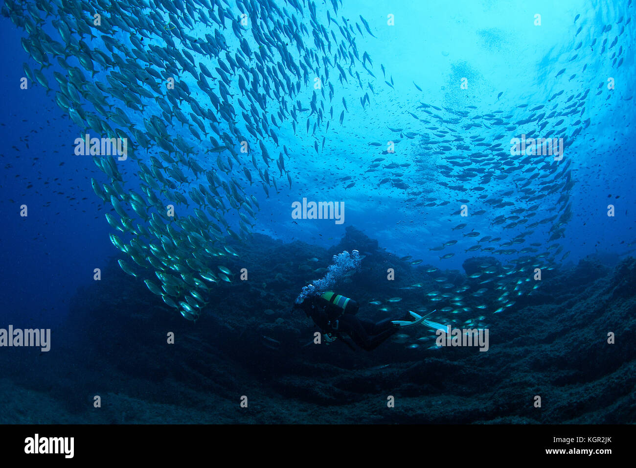 Scuba Diver und Fisch Schule an Dado Tauchplatz in Ibiza (Balearen, Spanien) Stockfoto