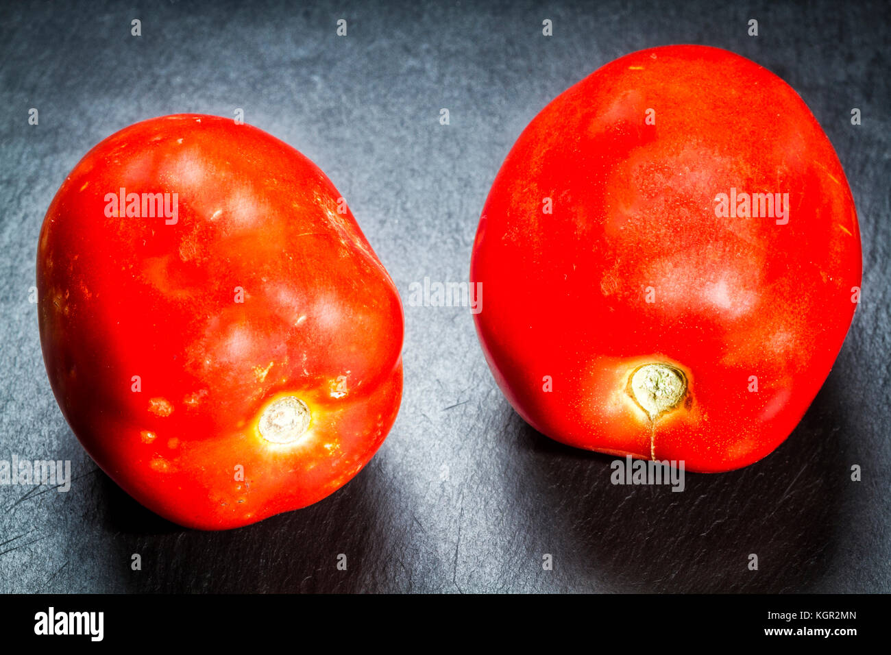 Reife Tomaten (Solanum Lycopersicum) auf schwarzem Schiefer. Stockfoto