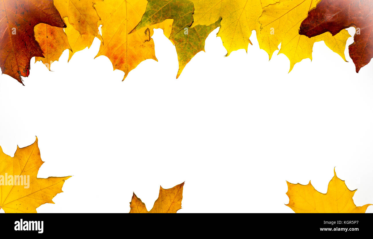 Abstrakte herbstliche Hintergrund mit fliegenden Ahornblätter. Herbst Jahreszeit Grußkarte, Poster, Flyer. vector Abbildung auf einem weißen Hintergrund. Stockfoto