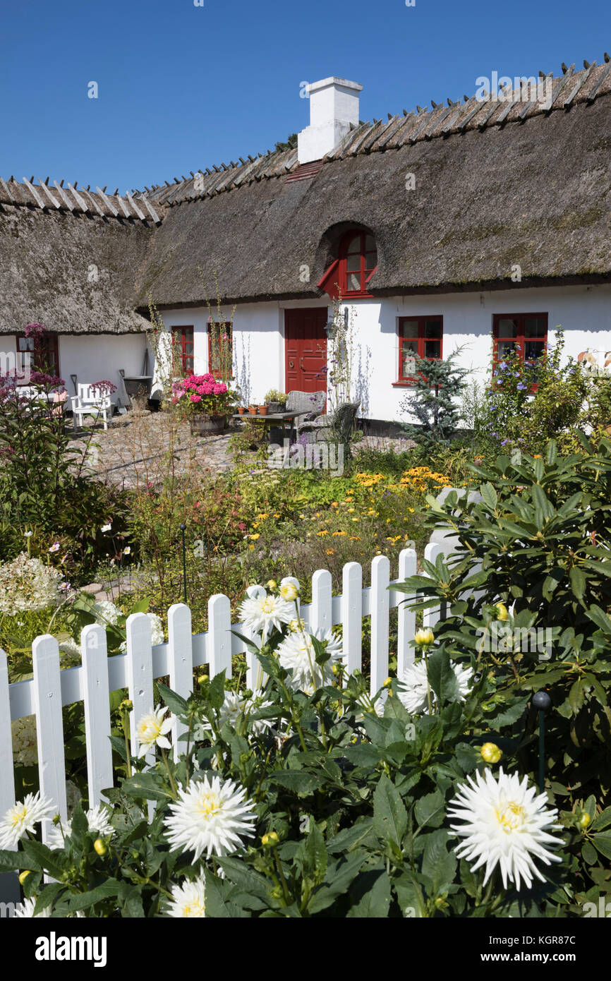 Traditionelle weiß lackiert strohgedeckten Dänischen Häuschen und Garten mit weissen Lattenzaun, Gilleleje, Kattegat Coast, Neuseeland, Dänemark, Europa Stockfoto