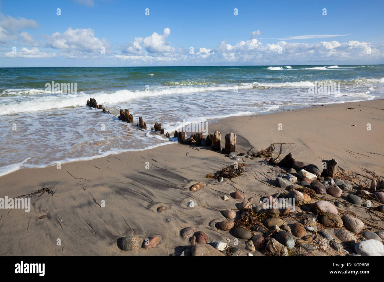 Alte Holz- beiträge und Kies auf Sand Strand mit brechenden Wellen und cumulus Wolken, Rageleje, Kattegat Coast, Neuseeland, Dänemark, Europa Stockfoto
