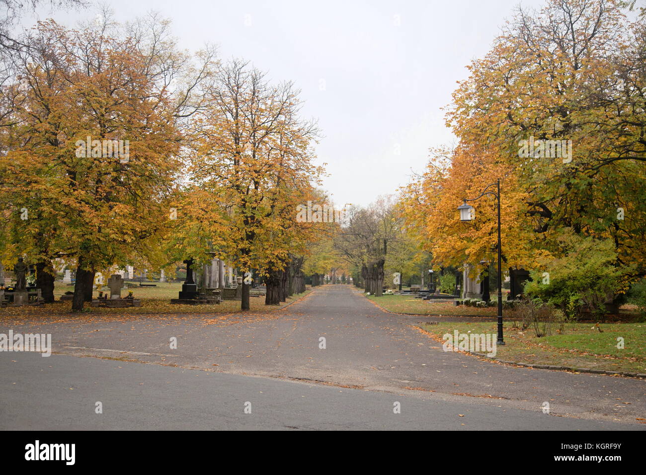 Kerepesi Friedhof (Kerepesi temető úti oder Kerepesi temető, offizieller Name: Fiumei úti Nemzeti sírkert, d. h. 'Fiume Straße nationalen Friedhof') Stockfoto