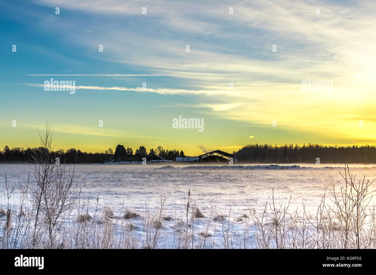 Abendlicht auf einer Bauernhoflandschaft in Estland Stockfoto