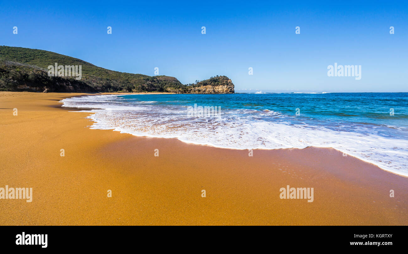 Australien, New South Wales, Central Coast, Bouddi National Park, Strand in Maitland Bucht mit Blick auf die bouddi Punkt Vorgewende Stockfoto