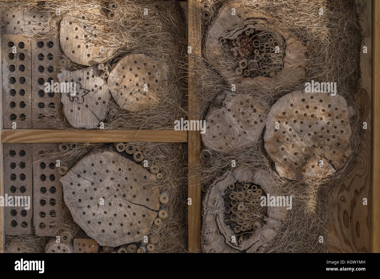 Bee House, solitären Bienen Nest zu locken. Stockfoto