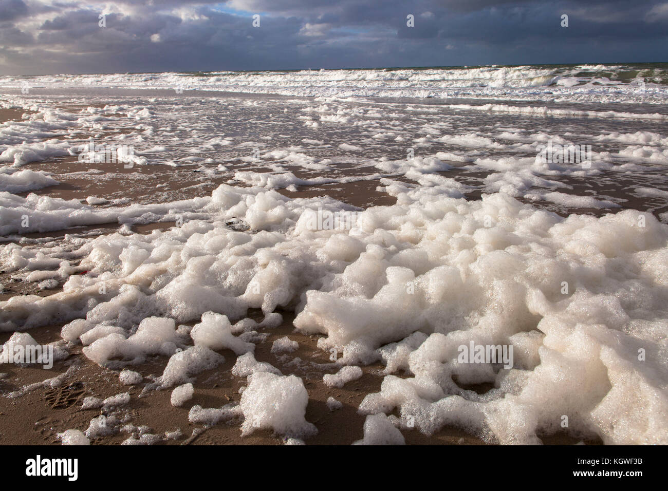 Niederlande, Zeeland, Schaum durch den Tod von Algen blüht am Strand zwischen Oostkapelle und Domburg auf der Halbinsel Walcheren Niederlande, Z Stockfoto