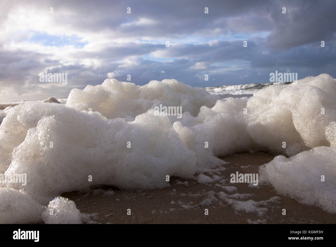 Niederlande, Zeeland, Schaum durch den Tod von Algen blüht am Strand zwischen Oostkapelle und Domburg auf der Halbinsel Walcheren Niederlande, Z Stockfoto