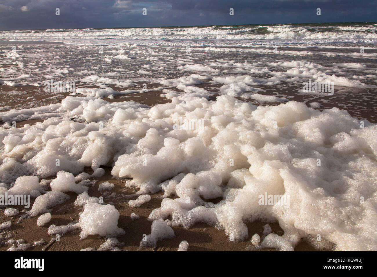 Niederlande, Zeeland, Schaum durch den Tod von Algen blüht am Strand zwischen Oostkapelle und Domburg auf der Halbinsel Walcheren Niederlande, Z Stockfoto