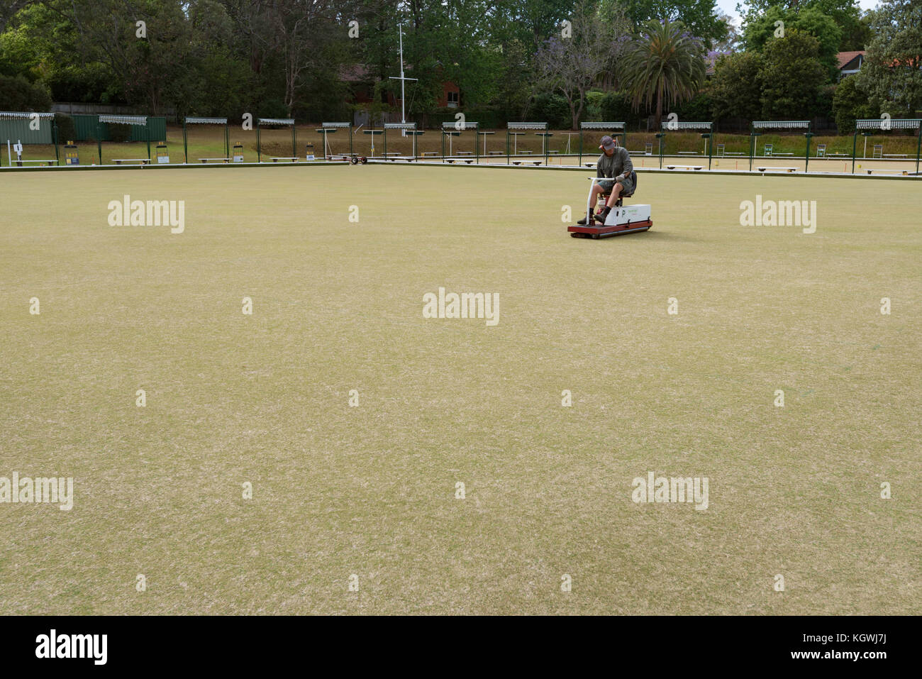 Ein Mann mähen Rasen Bowling Green im Gordon Bowling Club in Sydney Australien gerade vor dem Club die Schließung im Dezember 2017 Stockfoto