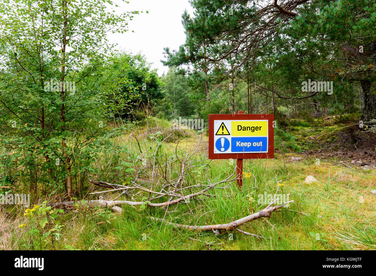 Wald Schild mit der Aufschrift "Gefahr! Raus!' Warnung touristische eines River Canyon im Cairngorms Nationalpark, Schottland halten Stockfoto