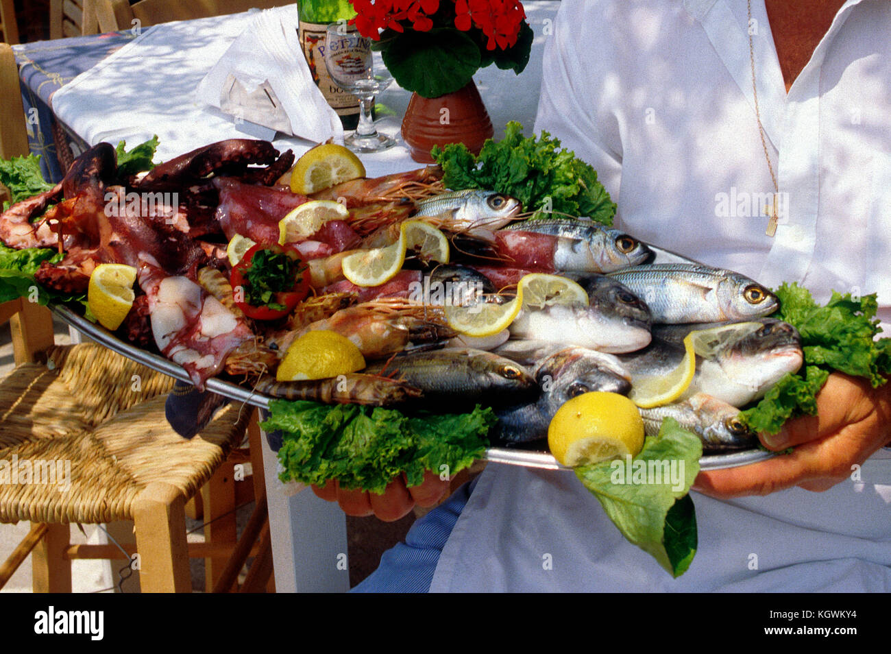 "Frische Meeresfrüchte im griechischen Taverne in Sani Chalkidiki Stockfoto