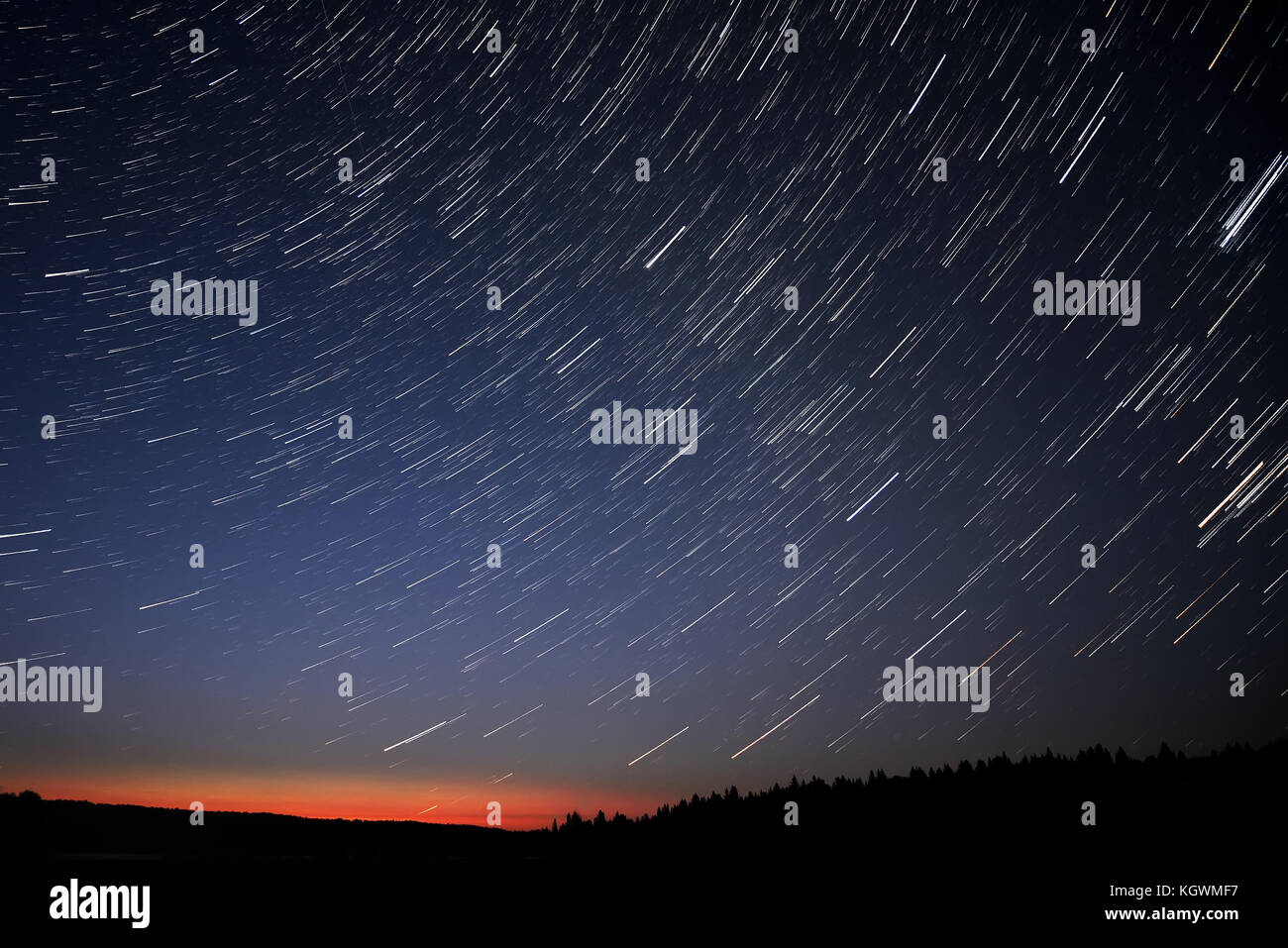 Die malerische Nacht Blick auf den Wald und den Himmel mit den Sternen in Form von Tracks Stockfoto