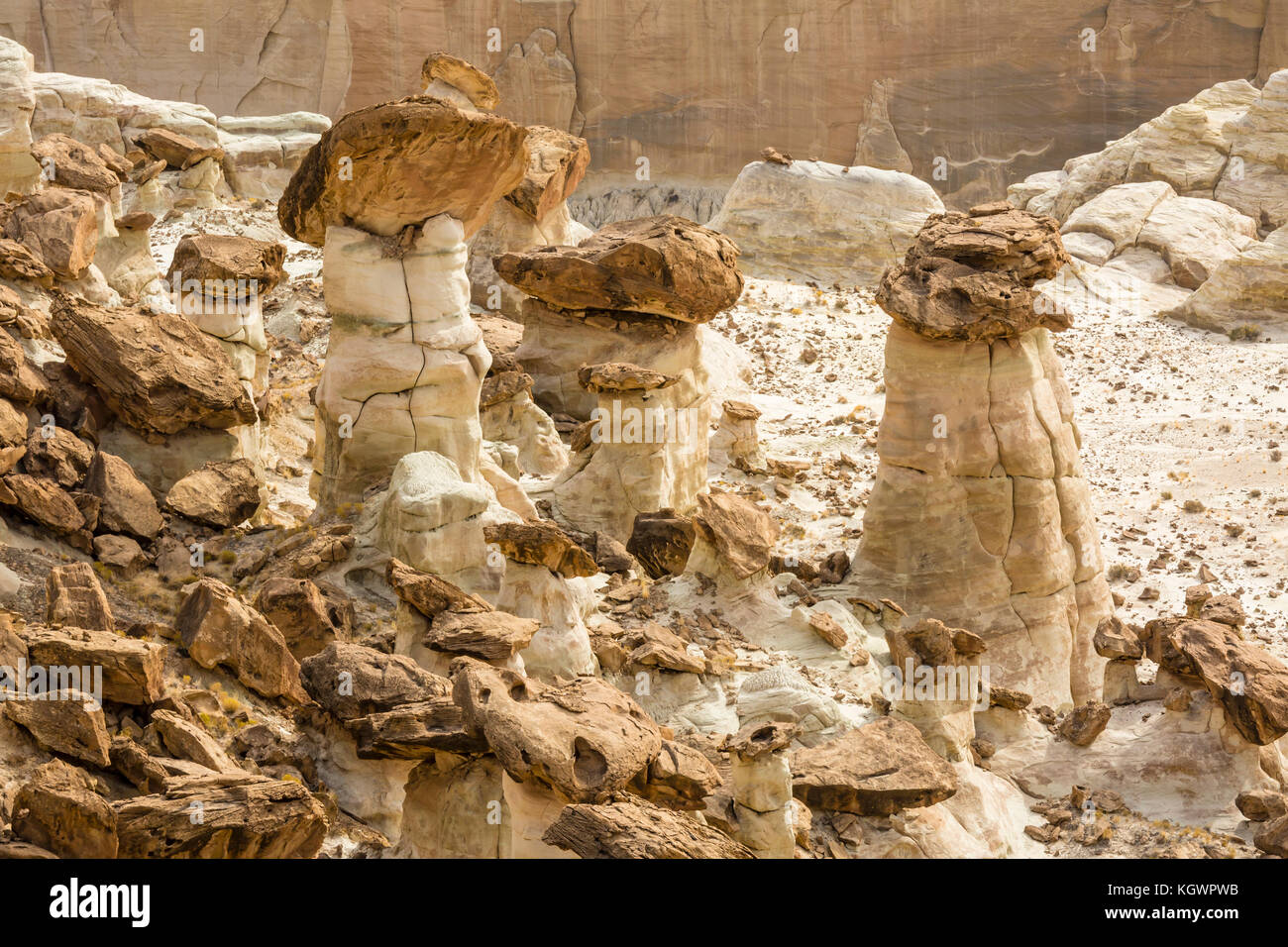 Braunen und weissen Schichten von entrada Sandstein Mix und Erstellen seltsame Hoodoos an der rimrocks Bereich des Grand Staircase Escalante National Monument in Utah. Stockfoto